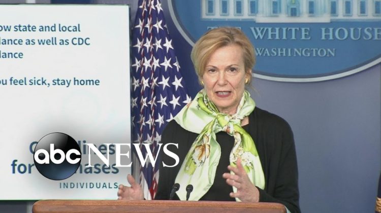 Dr.-Birx-details-each-phase-for-‘opening-up-America-again’.jpg